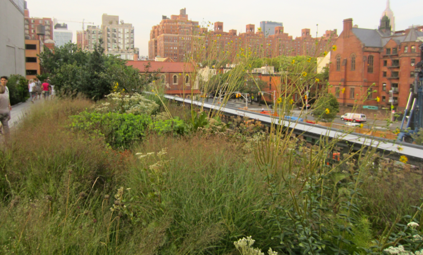 nyc_highline