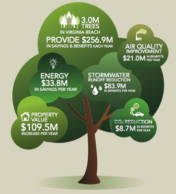 value of trees