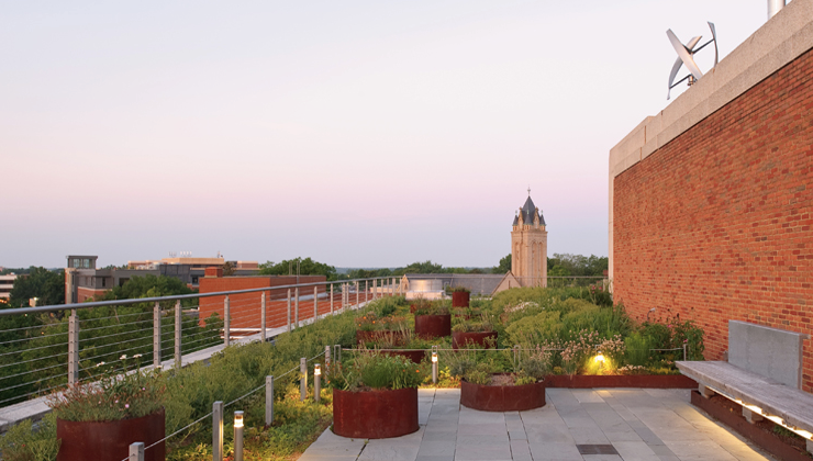 vcu_pollack_rooftop_garden