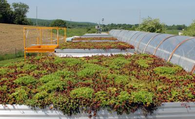 vt_green_roof_platforms