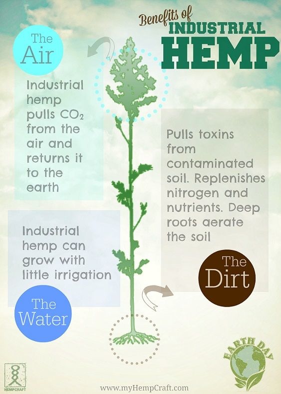 env_benefits_hemp