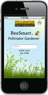 Bee Smart App pic