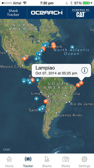 Ocearch Global Shark Tracker