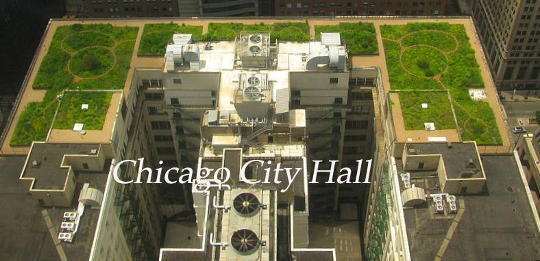 chicago city hall