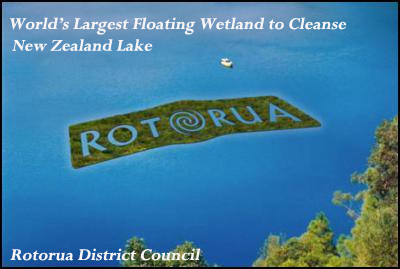 floating_wetland_rotarura