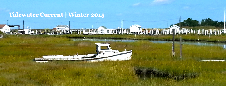 WINTER_2015