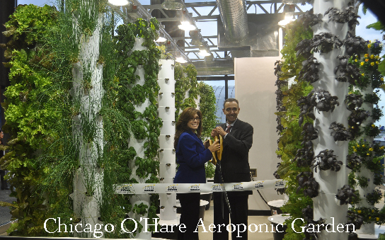 chicago ohare aeroponic garden