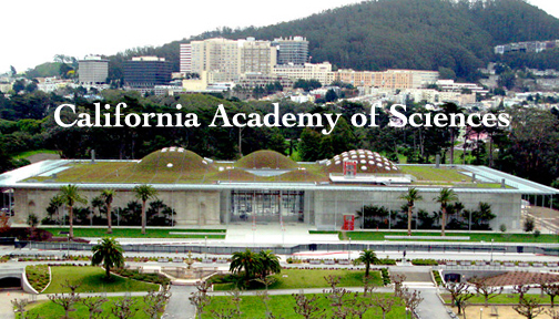 caacademyofsciences