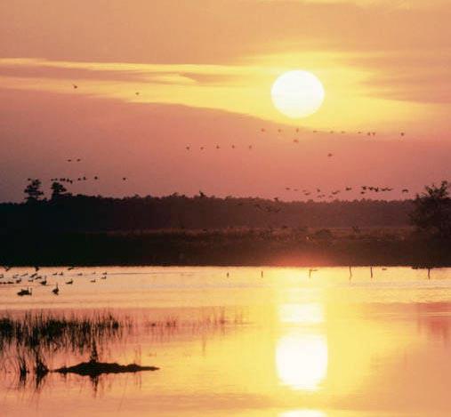 Blackwater NWR